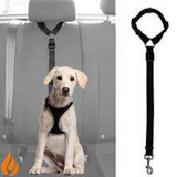 CORREA DE SEGUREDAD PARA PERROS Y MASCOTAS